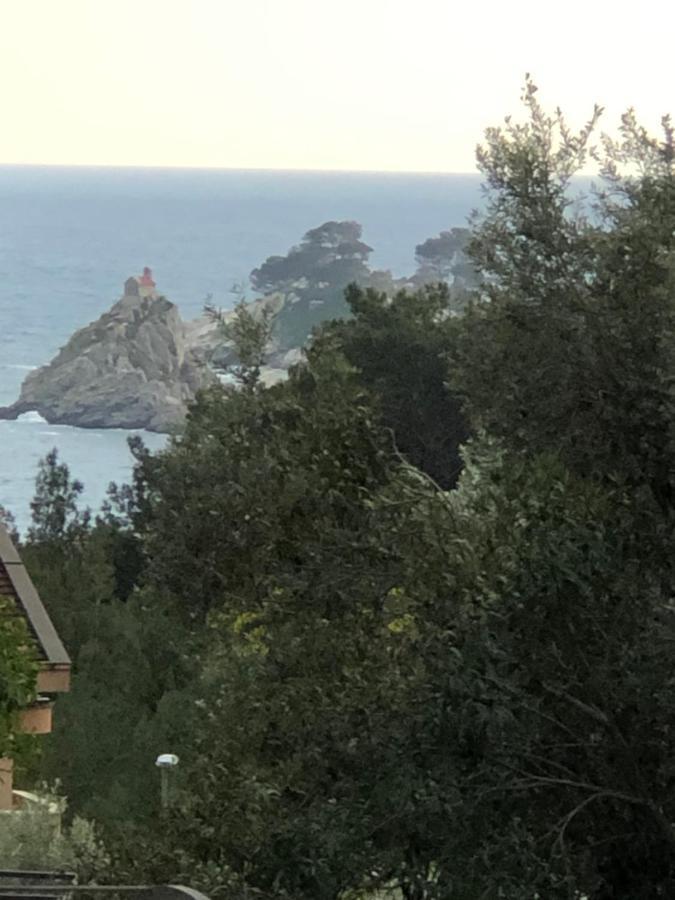 Apartmani Lime Petrovac Dış mekan fotoğraf